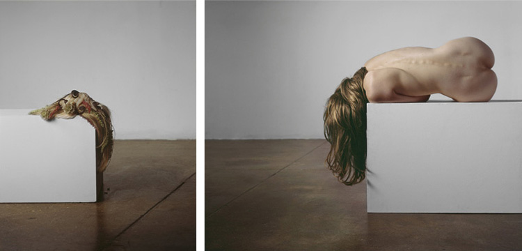 le-metamorfosi-di-bill-durgin-fotografo-americano-still-life-surreale-1