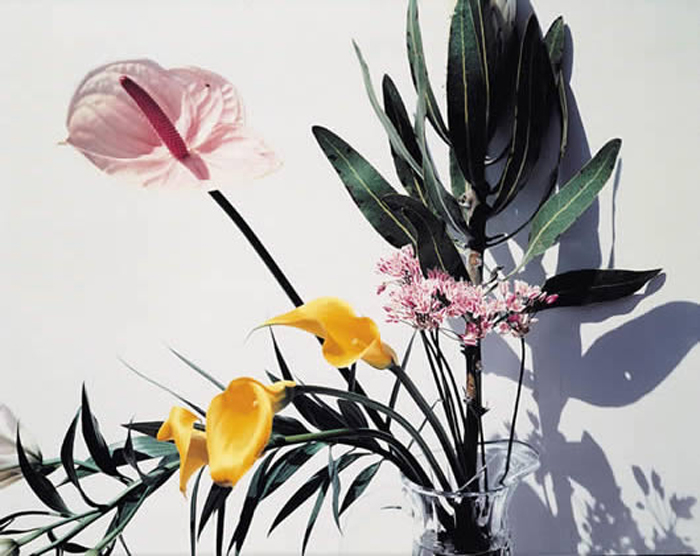 Nobuyoshi Araki, Flowers series, 1997