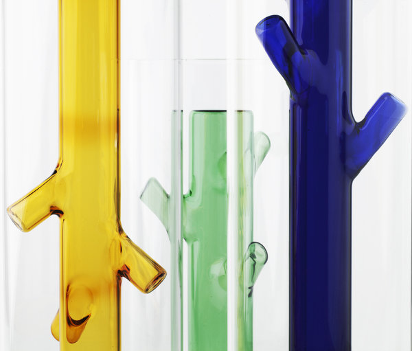 roots 2 Bonaguro Giorgio