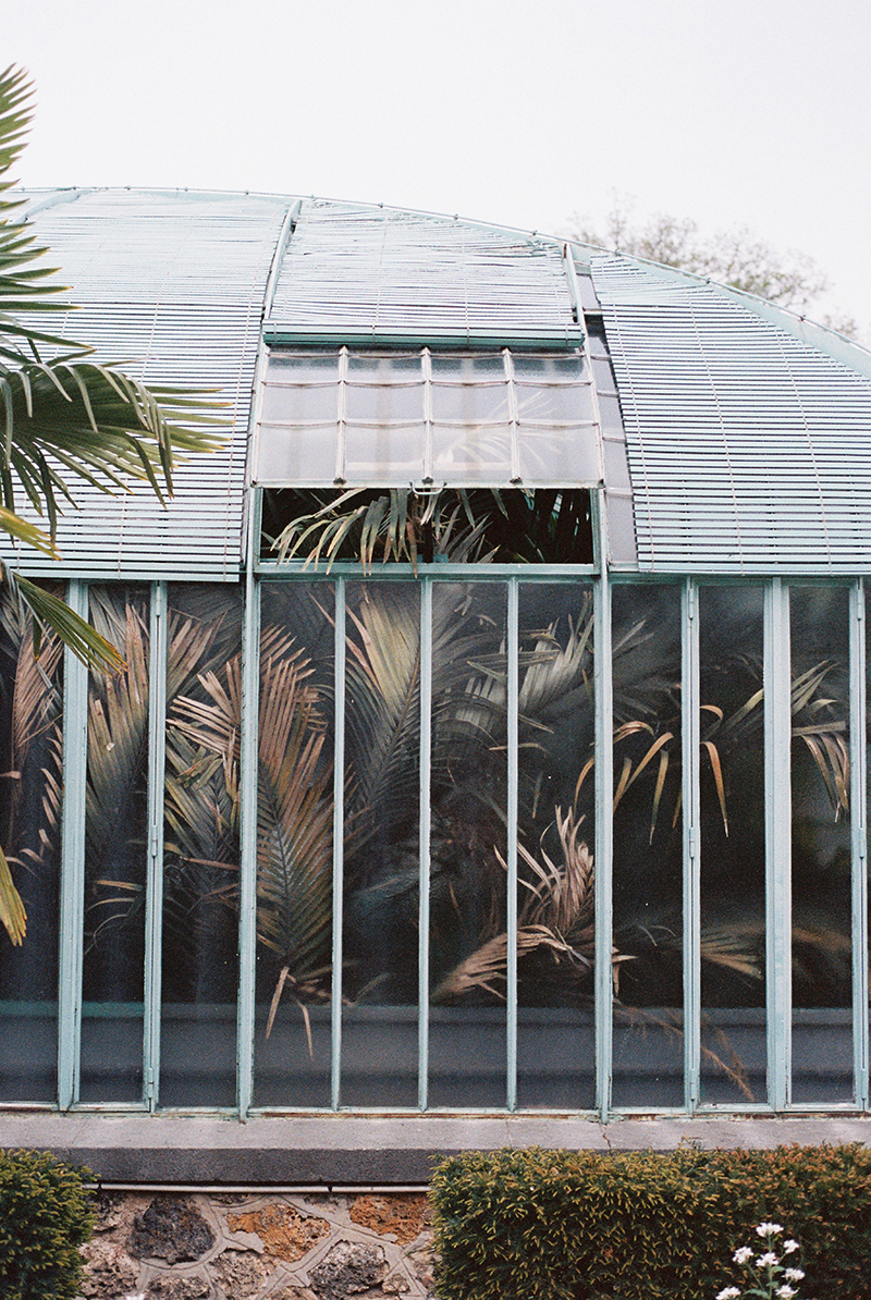 tumblr_mp20uaqkTY1sxg231o1_1280