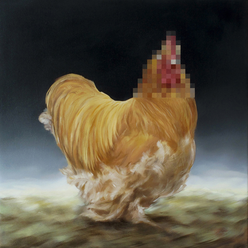Gallina I-40x40cm_oil on canvas_2012