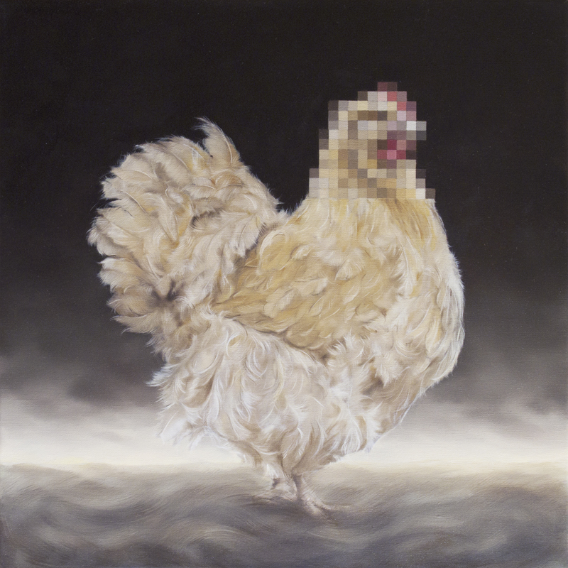 Gallina II-40x40cm_oil on canvas_2012
