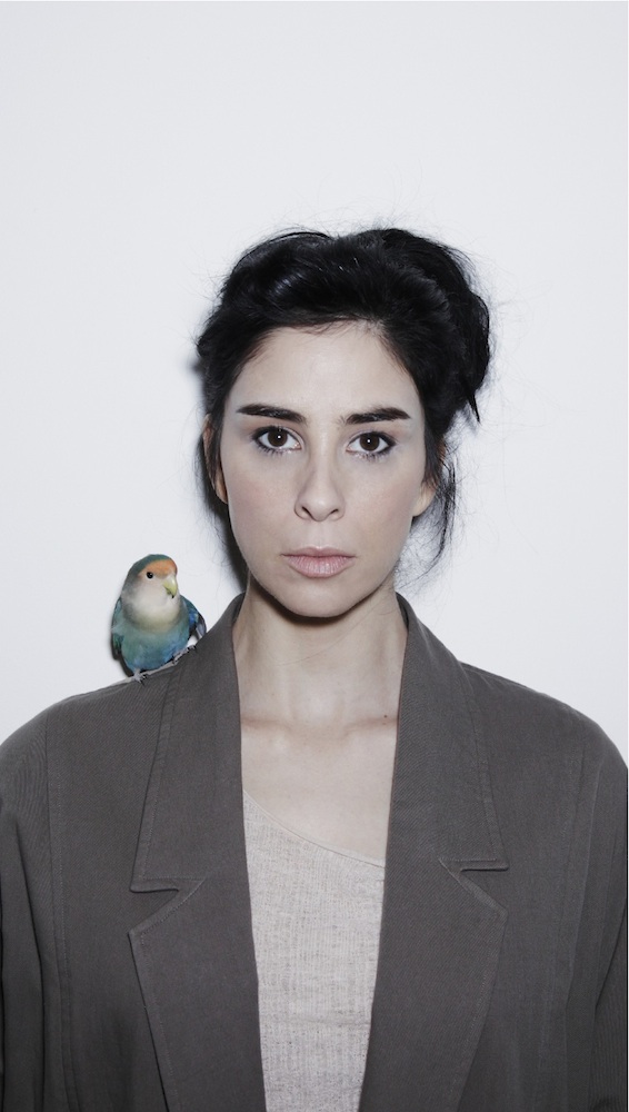 img-andy-warhols-interview-interview-sarah-silverman_144425252225