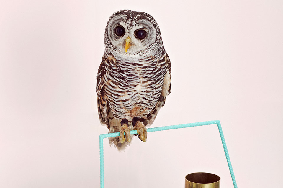 01-miart14-fotosito-bucone-1