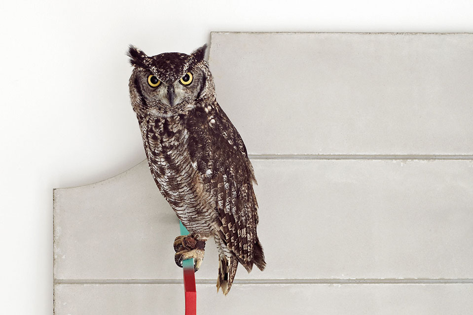 03-miart14-fotosito-cemento-1