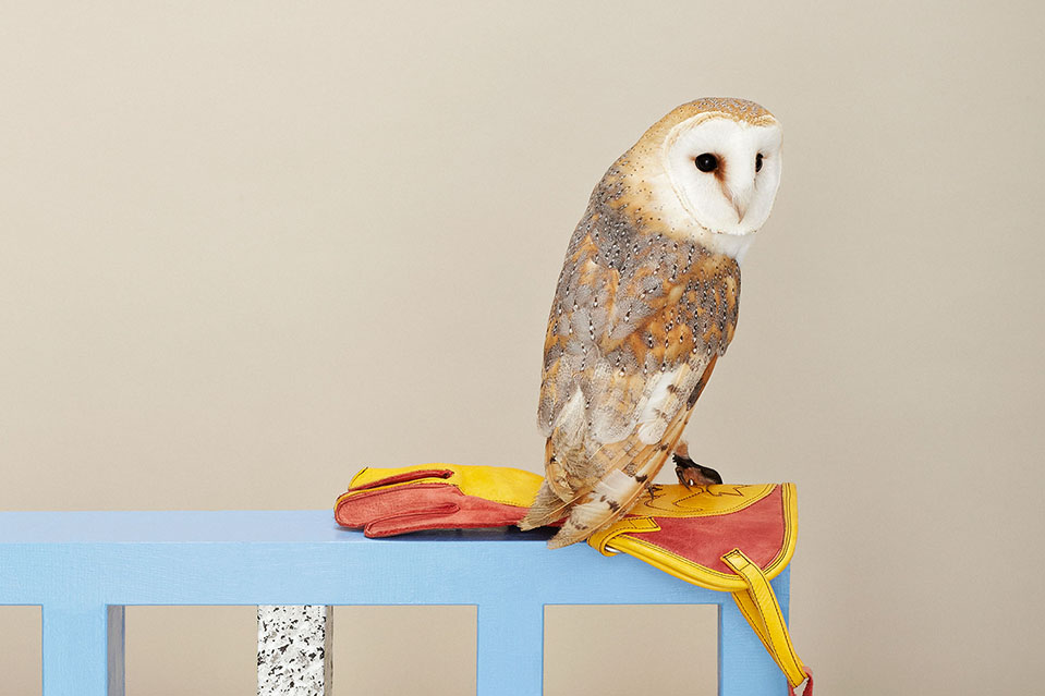 04-miart14-fotosito-pettine