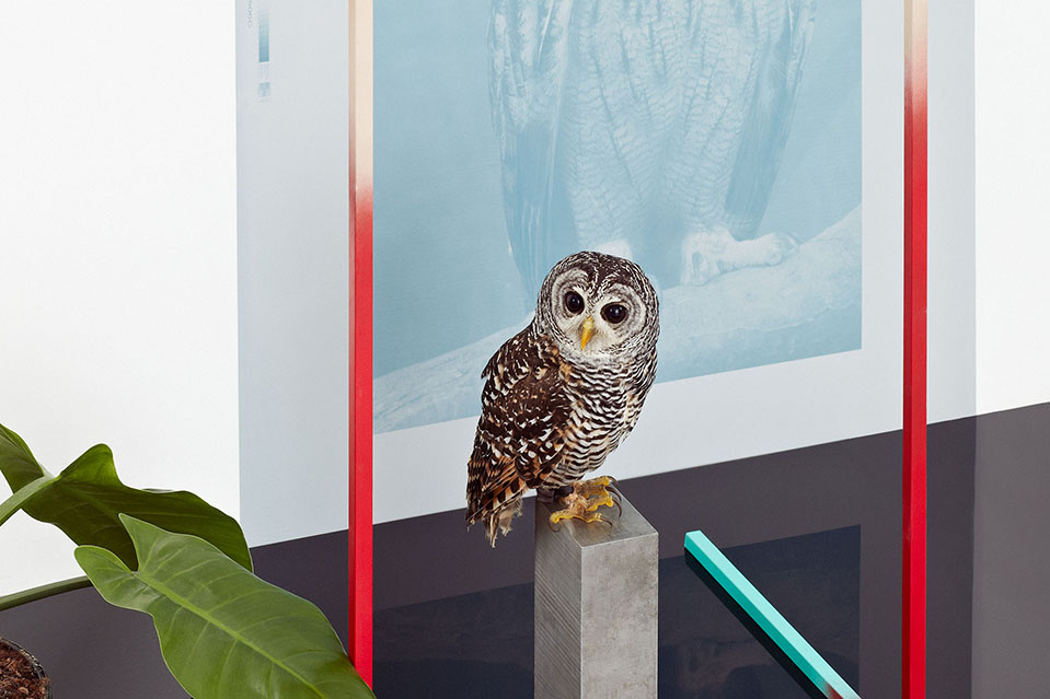 05-miart14-fotosito-staffe