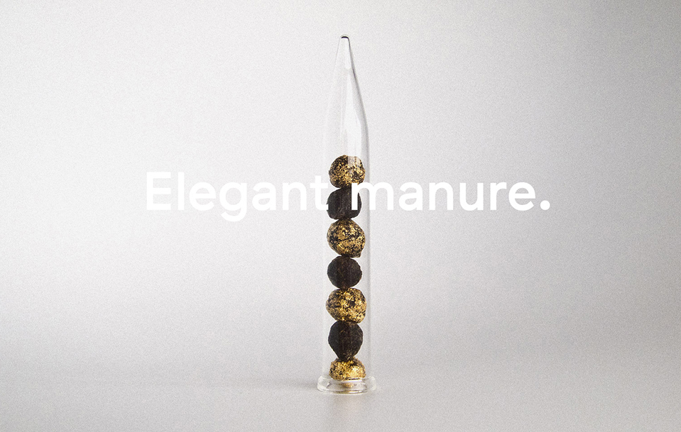 dindita-home2text-120