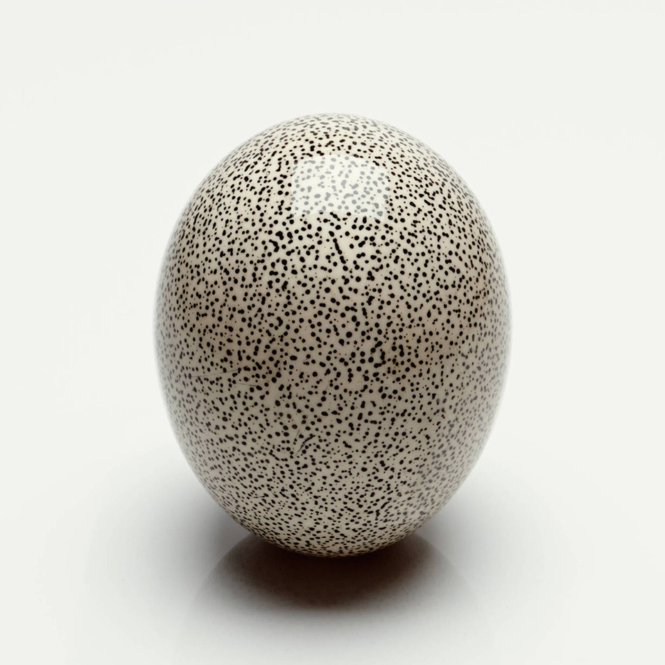 large_CREH010055045_Wht_076