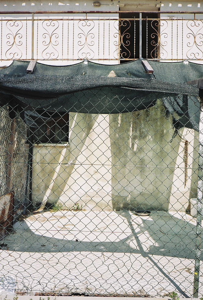 francesca-ferrari-11