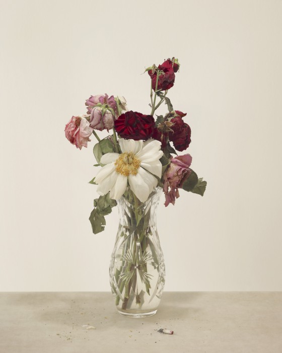 Broken_Flowres_03-560x700