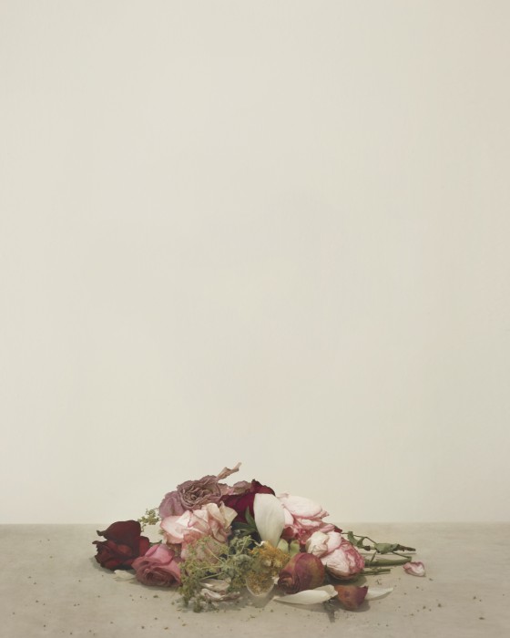 Broken_Flowres_07-560x700