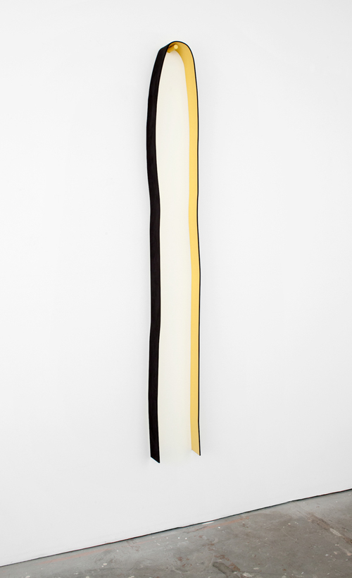 Lisa Williamson Long Cut