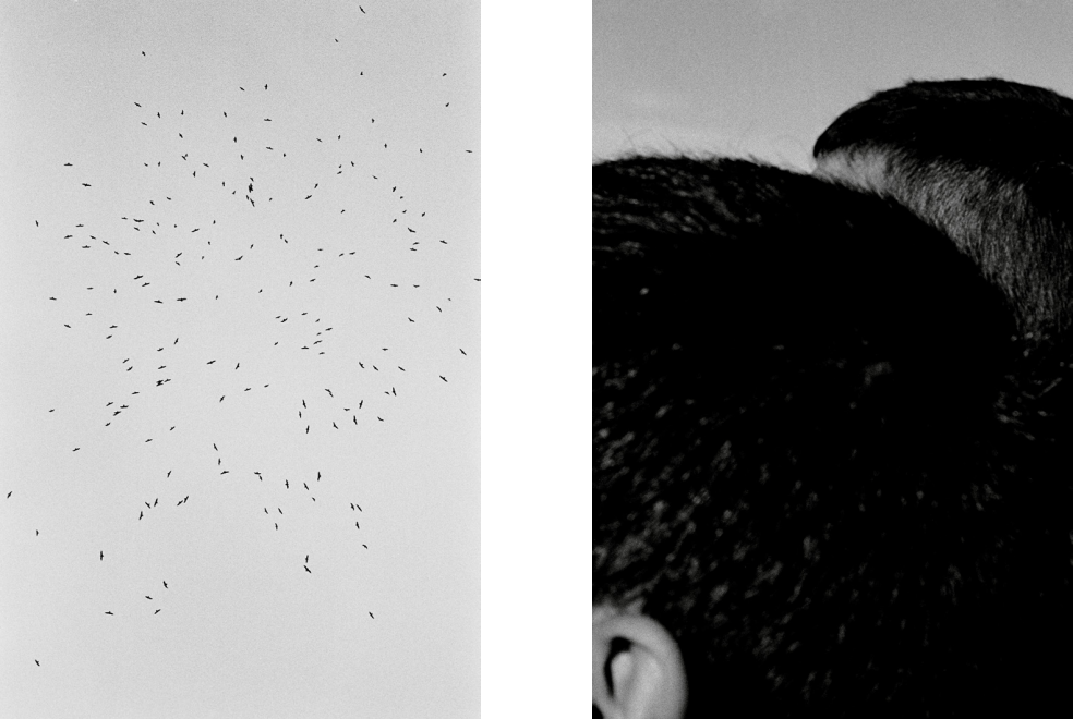 Screen Shot 2015-01-01 at 4.36.08 AM