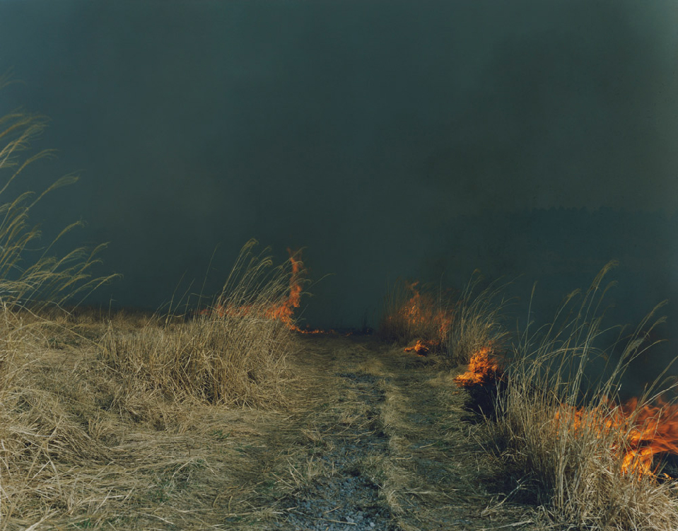 1422296409-54c68559bc1c0-021-rinko-kawauchi-theredlist