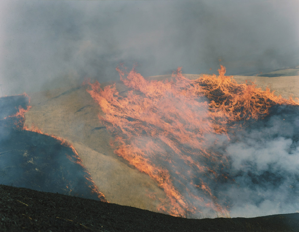 1422296420-54c68564aa3f2-026-rinko-kawauchi-theredlist