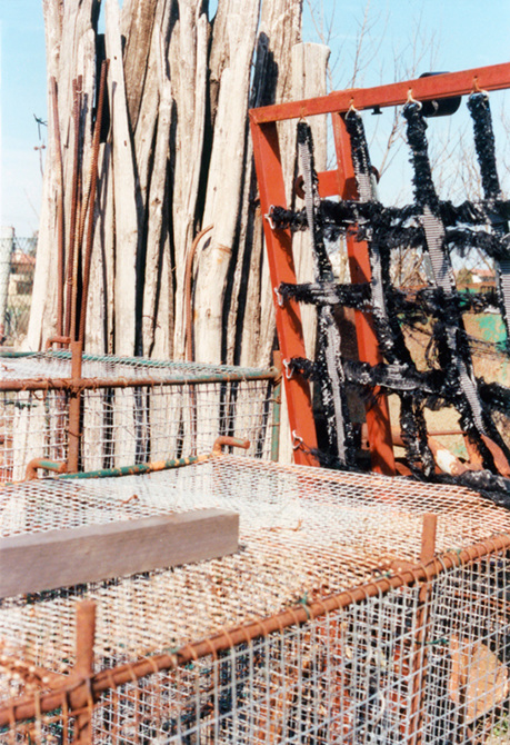 francescagardini53_459