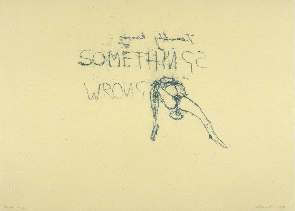 Terribly Wrong 1997 Tracey Emin born 1963 Presented by the Patrons of New Art (Special Purchase Fund) through the Tate Gallery Foundation 1999 http://www.tate.org.uk/art/work/P11565
