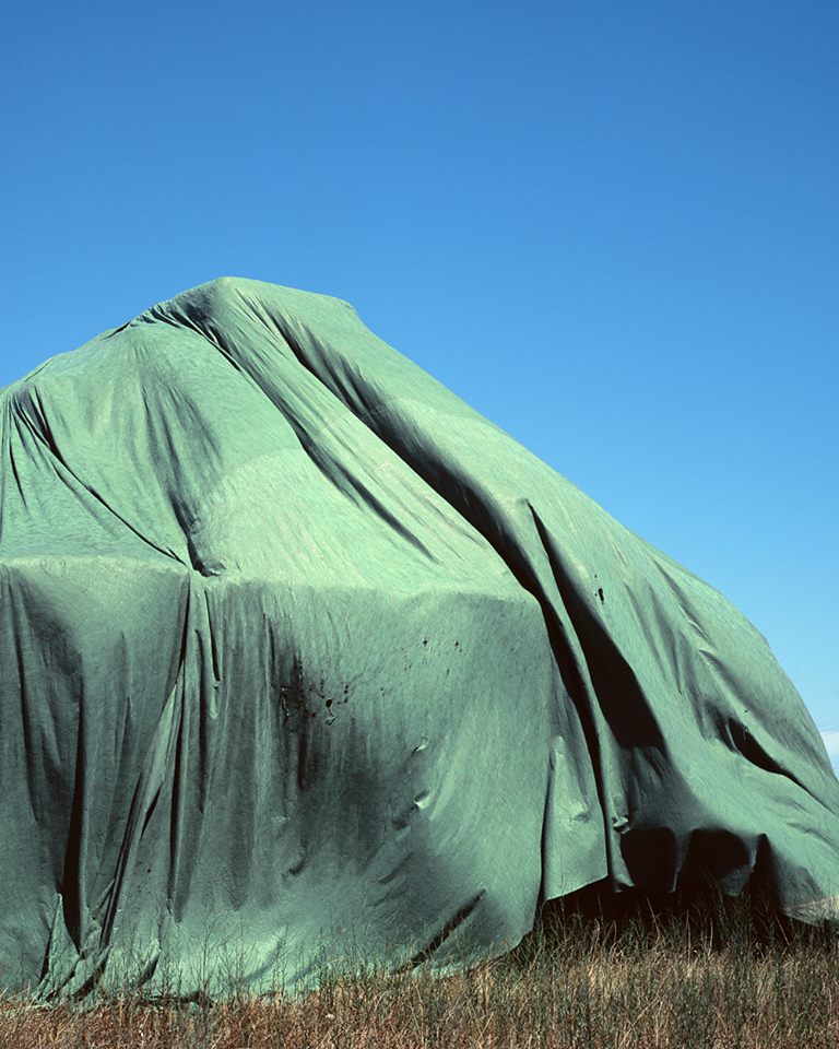 11049506_10207796581170429_9081302206816239269_n