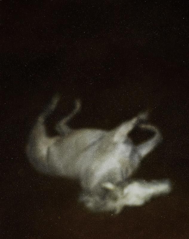 ee6bf03e058c1820f2f6183328b92706