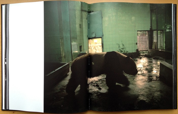 81208-2c2cfa73257f4cc1bf860b0d6eb962ad