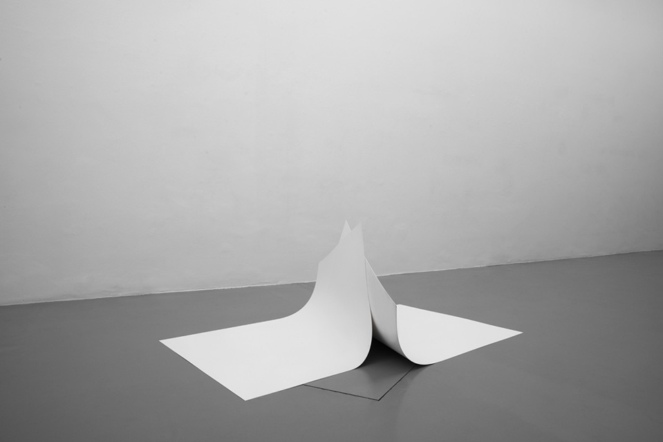 Ariel-Schlesinger-Two-Good-Reasons-2015-Polypropilane-engine-wood-100x132-cm-each-4