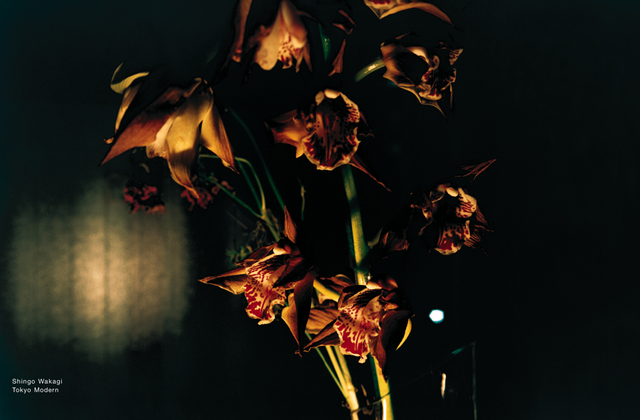 marc-hohmann-framing-space-2