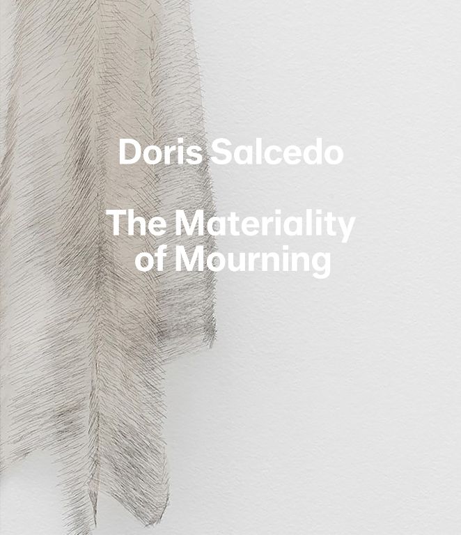 doris salcedo the maternity of mourning