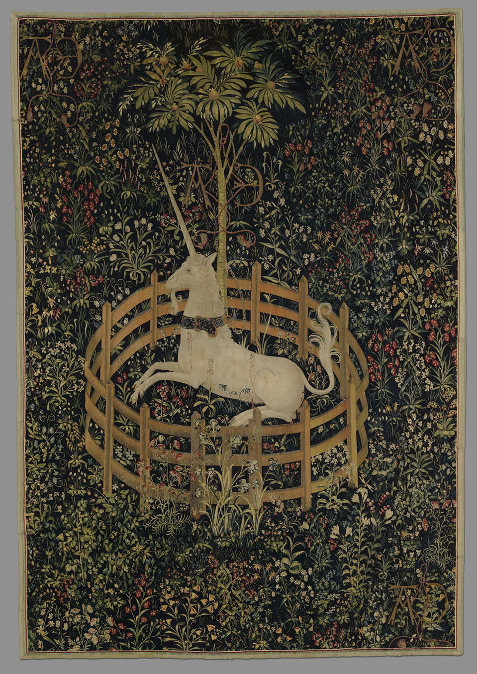 d7hftxdivxxvm.cloudfront-1