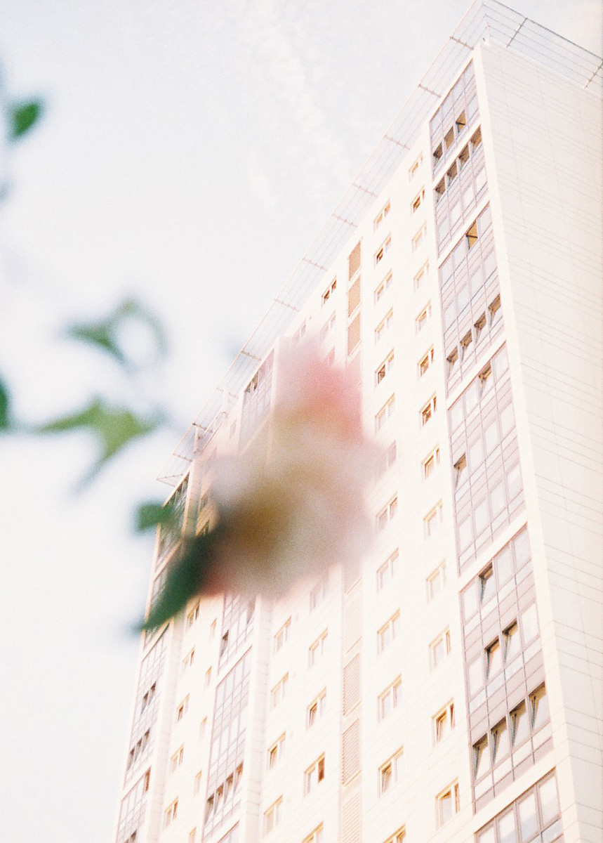 3c08d90942b45cbe747a1a76e3f86e69