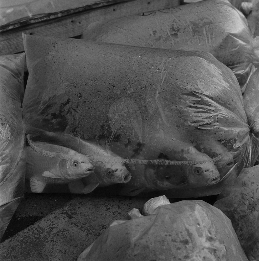 SUDA-03260-1023x1030