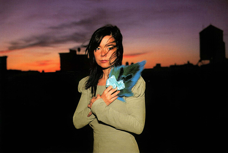bjork-2000-nan-goldin-02
