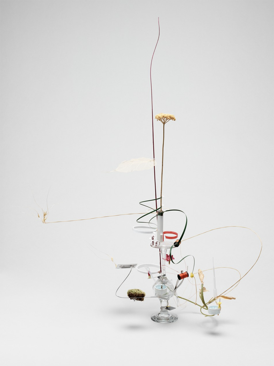 Screenshot 2021-08-31 at 18.15.16