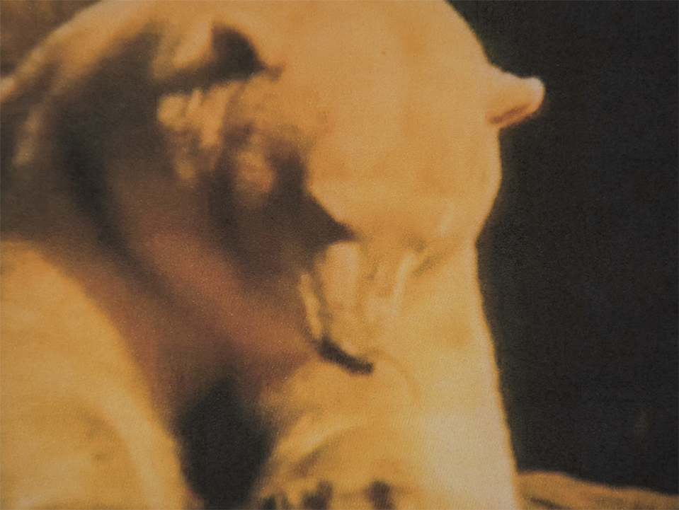 Screenshot 2021-09-20 at 14.03.25