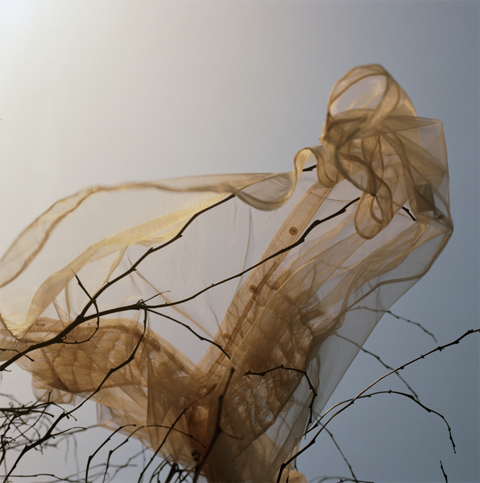 Screenshot 2022-07-10 at 23.46.31