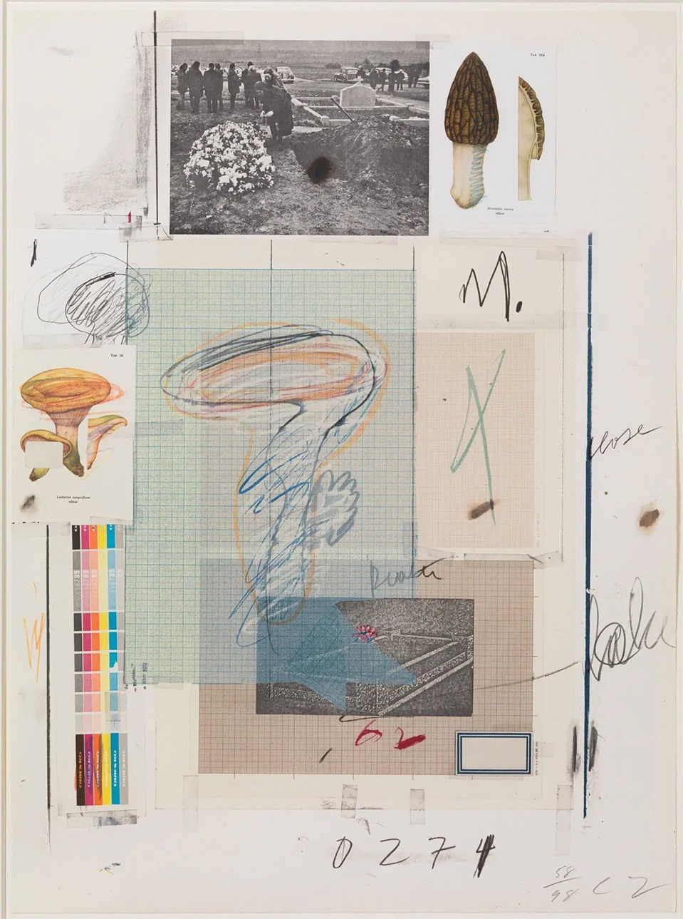 Cy Twombly - Natural History Part I- No. VII (1974)